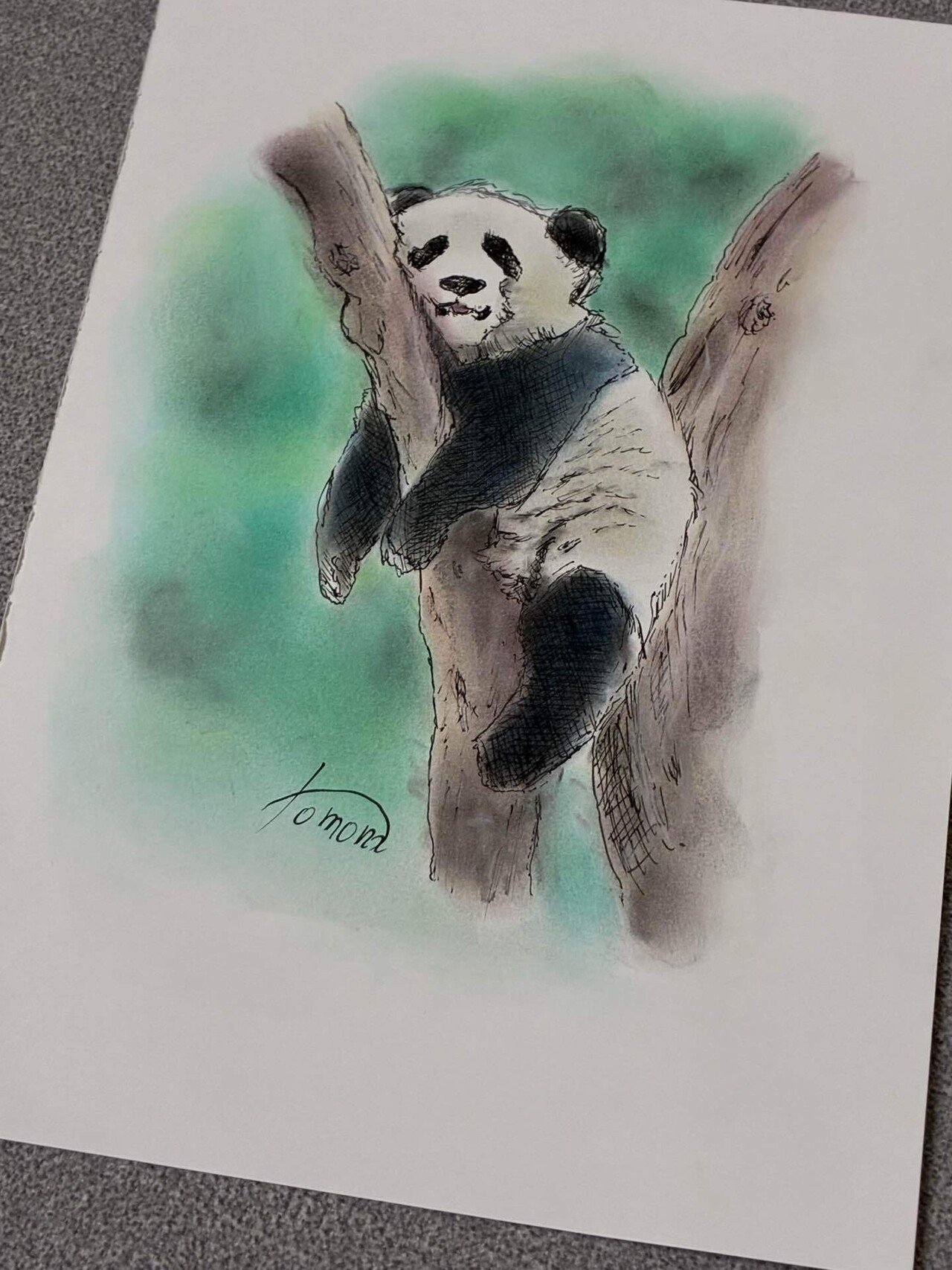 崩壊してるパンダスケッチ｜智美さんの美術室