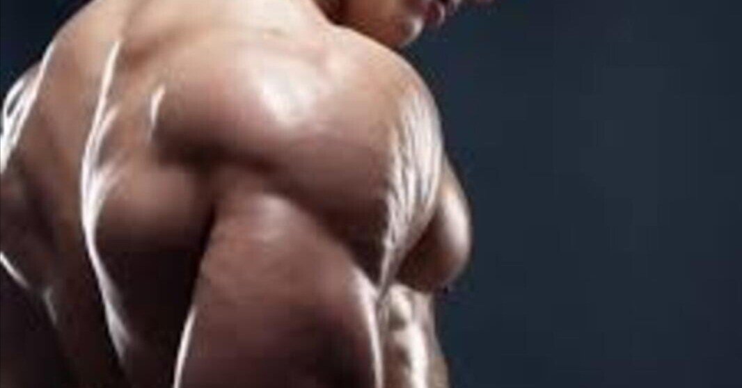 誰にも教えたくない】サイドレイズの極意掴んだかもしれない【メロン肩