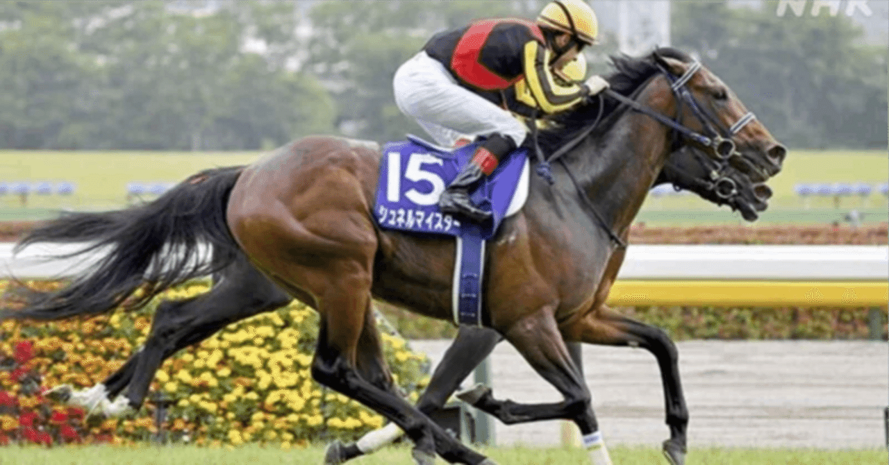 馬の鞍(*^^*) 最終値下げ☆ 総合鞍・オールパーパス アーカイブ - 馬具・乗馬用品のサジタリアス