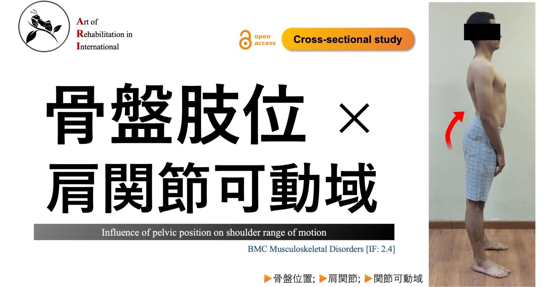 骨盤肢位 × 肩関節可動域｜Super Human | 理学療法士／保健学博士 Ph.D.