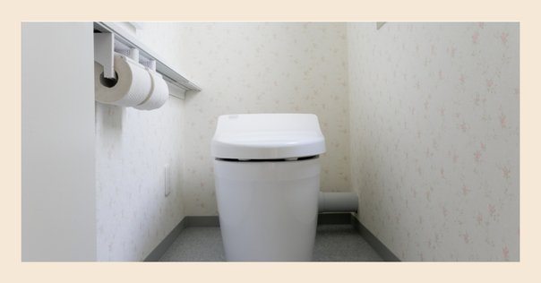 トイレット・トレーニングの短期集中指導法 トイレット・トレ-ニングの短期集中指導法: 3日でできる排泄自立