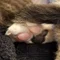 りーやん