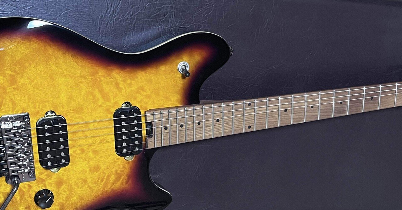 SELDER セルダー エレキギター ストラトキャスタータイプ サクラ楽器