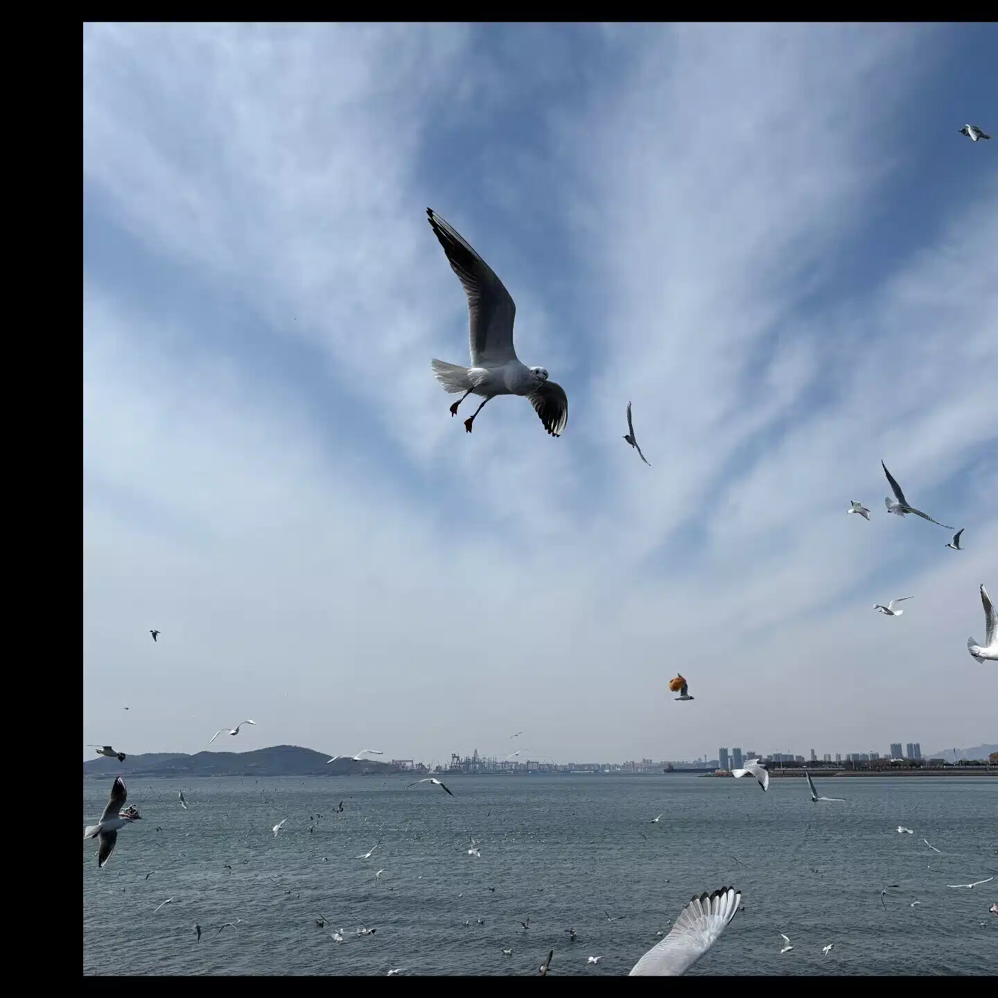 cloud@雲南(帰国中)