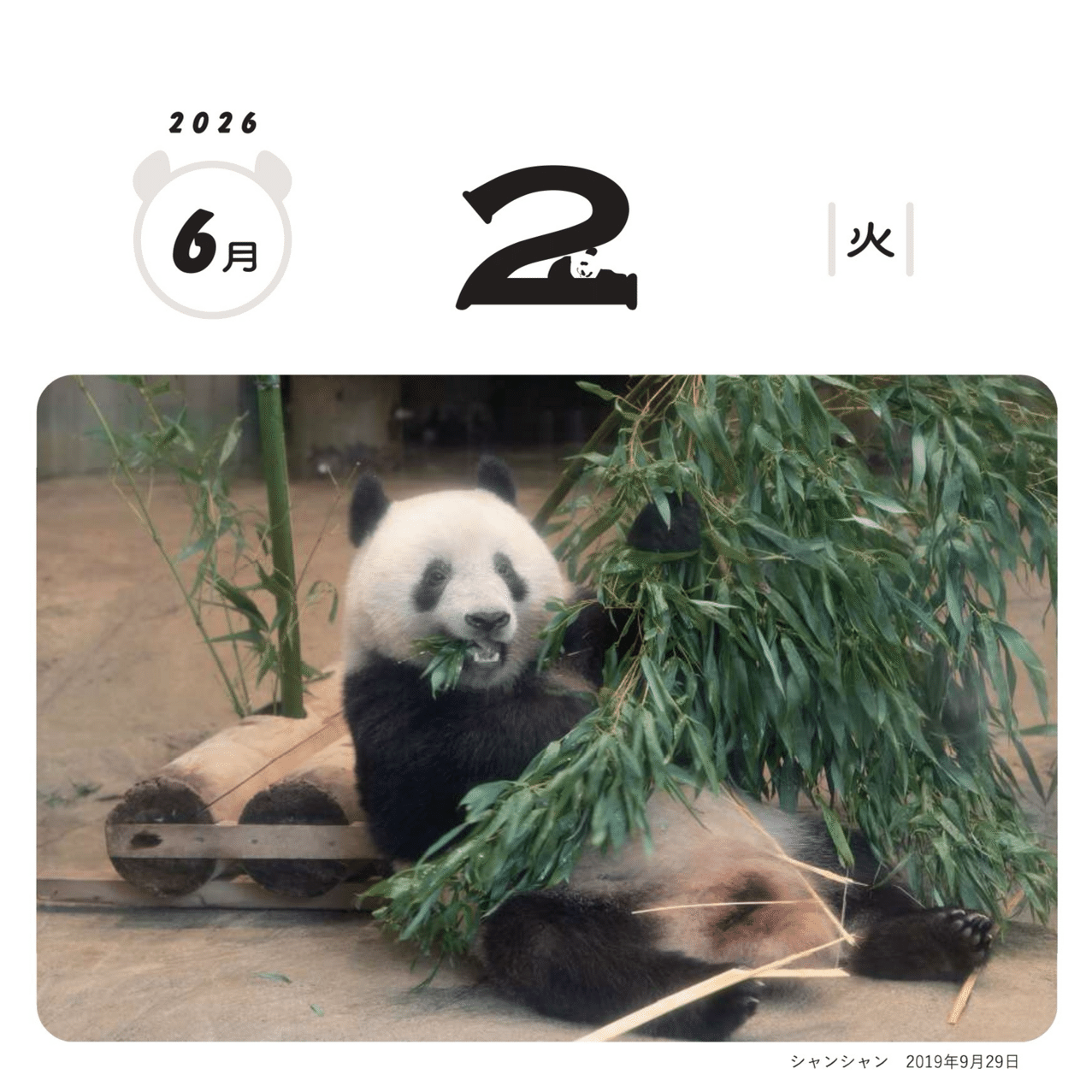 毎日パンダ」のシャンシャン日めくりカレンダーを、10月1日（水）より
