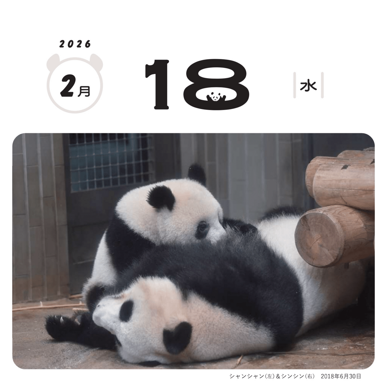 毎日パンダ」のシャンシャン日めくりカレンダーを、10月1日（水）より