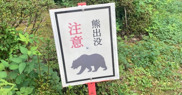 バックパッカーシンドローム』の幻惑｜宮田珠己