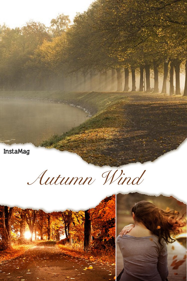オリジナル曲「Autumn Wind」のイメージ画像です。