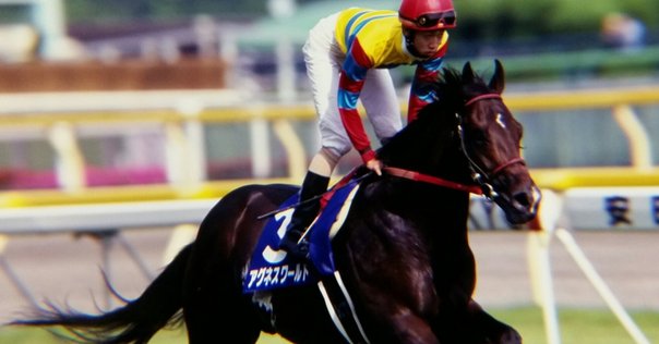 阪神11レース トウカイテイオー 単勝券 100円 阪神11レース