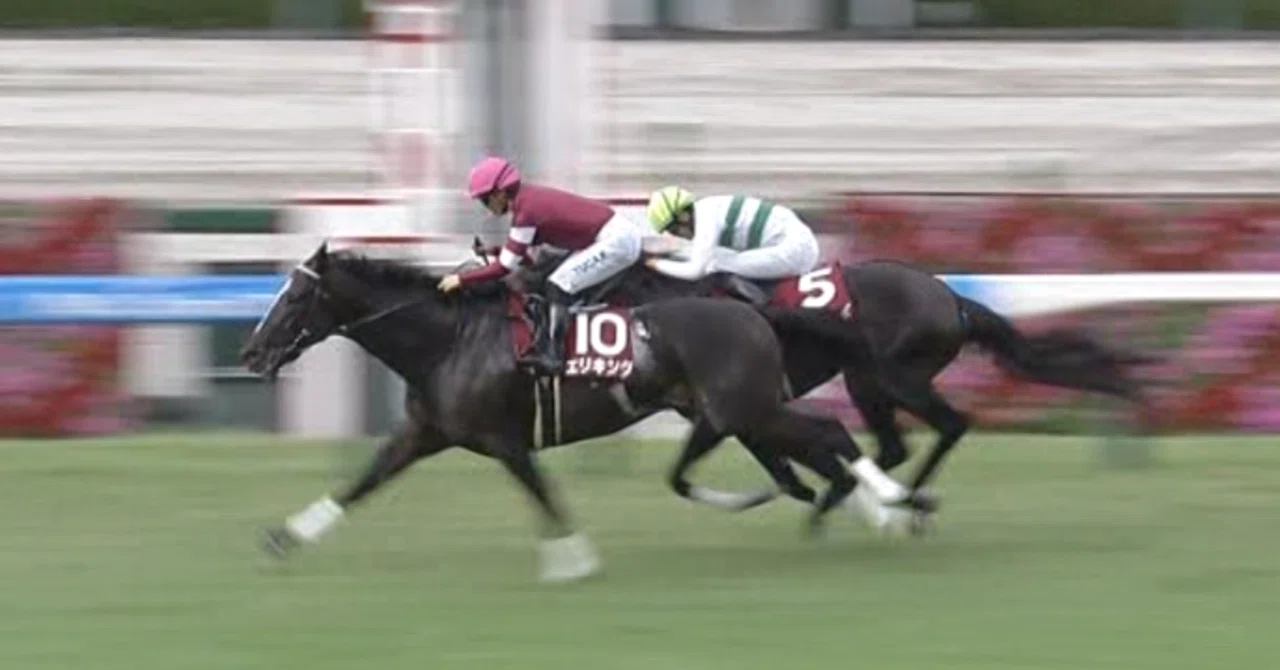 レース回顧Vol.609】第73回神戸新聞杯｜それみあ