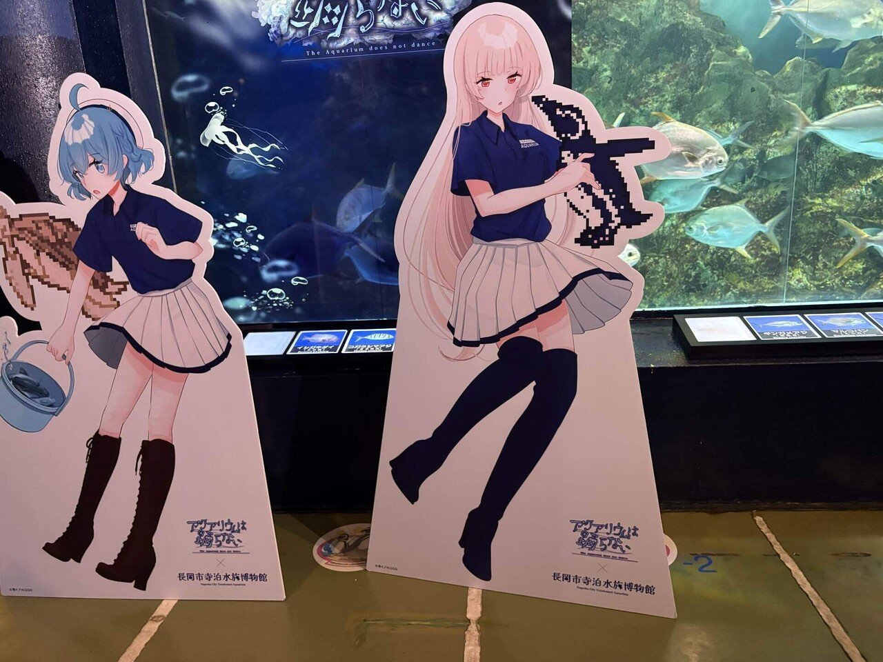 アクアリウムは踊らない×長岡市寺泊水族博物館｜煌水朱希