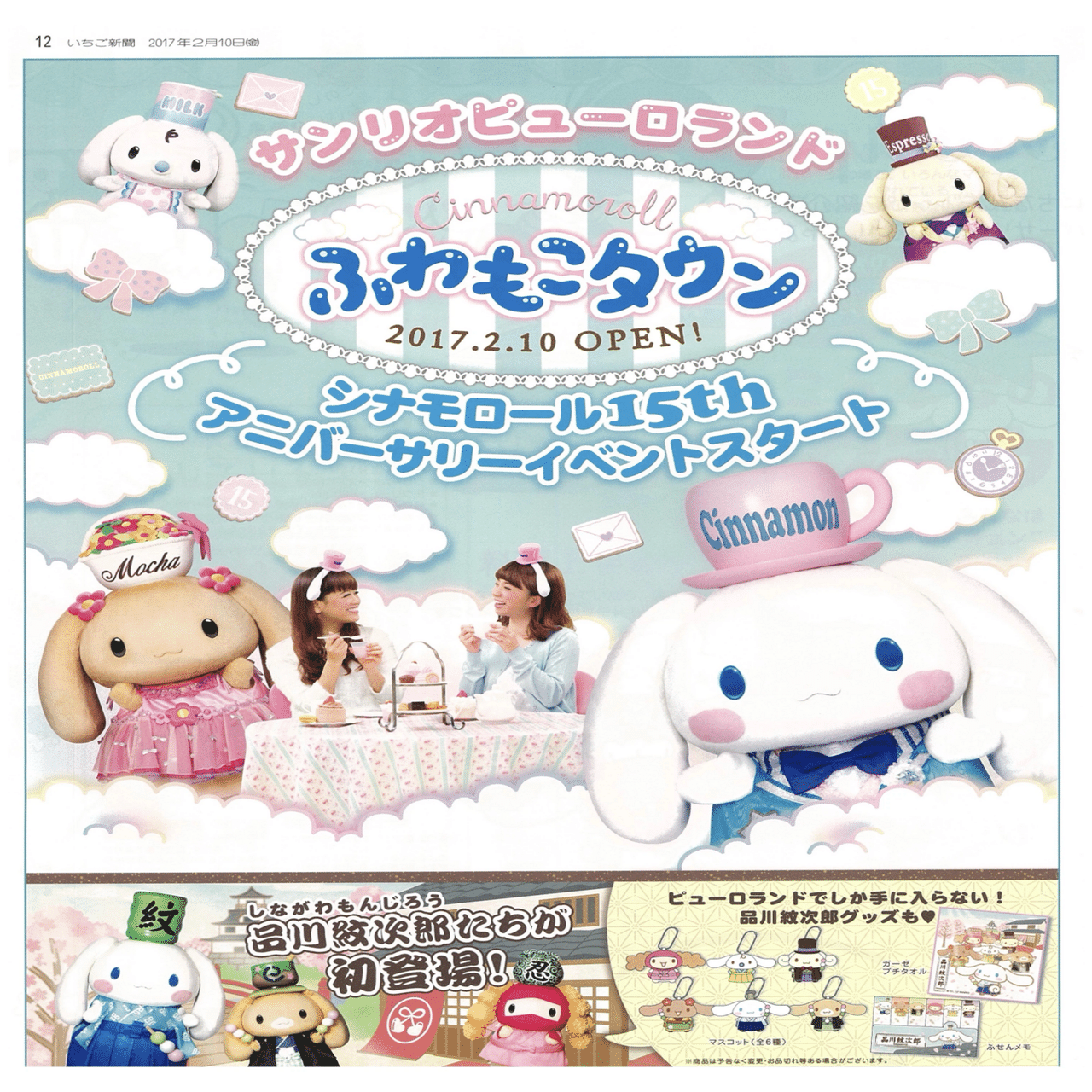 もう迷わない！シナモンの本名問題に終止符を打つnote 混乱の原因と