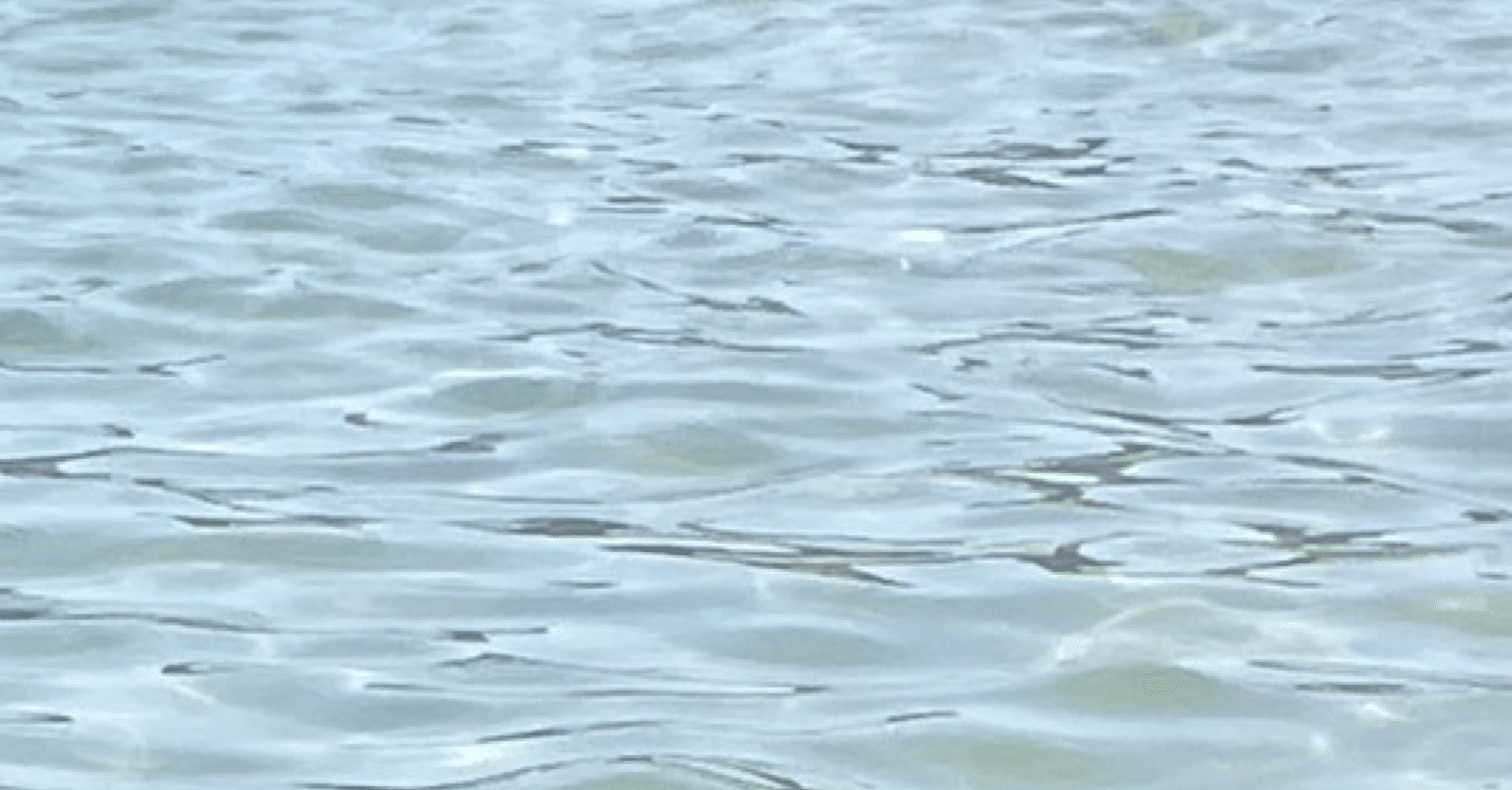 夏京大オープン+第2回共テ模試が帰ってきたよ｜浪sky