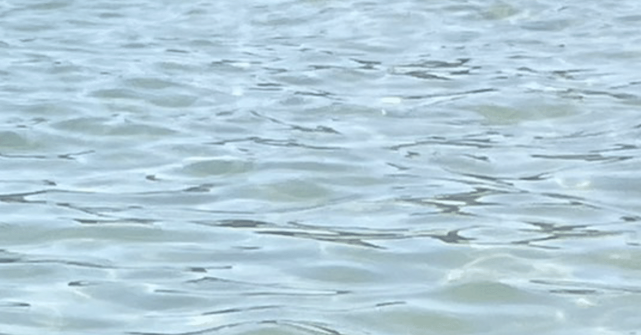 夏京大オープン+第2回共テ模試が帰ってきたよ｜浪sky