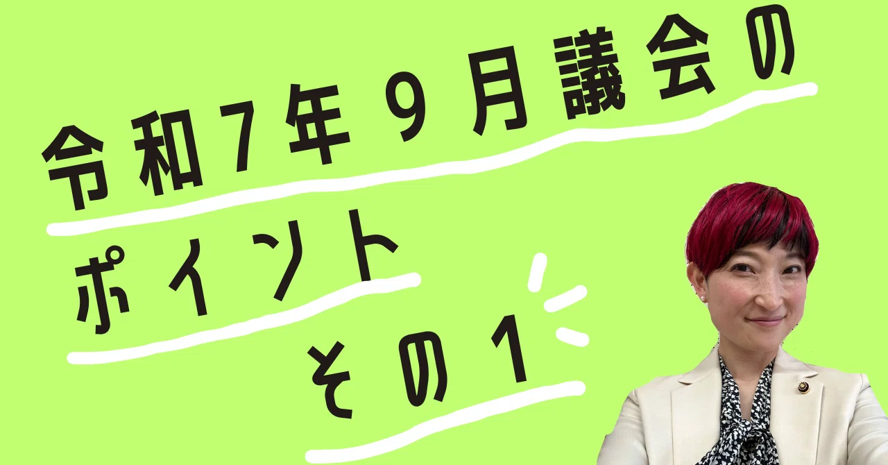 付帯 決議 と は