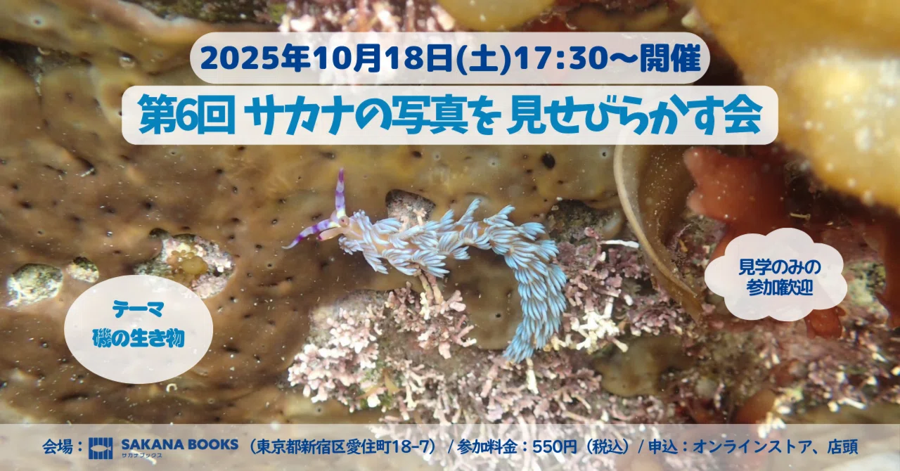 第6回サカナの写真を見せびらかす会🐟 開催！【10/18(土) 17:30