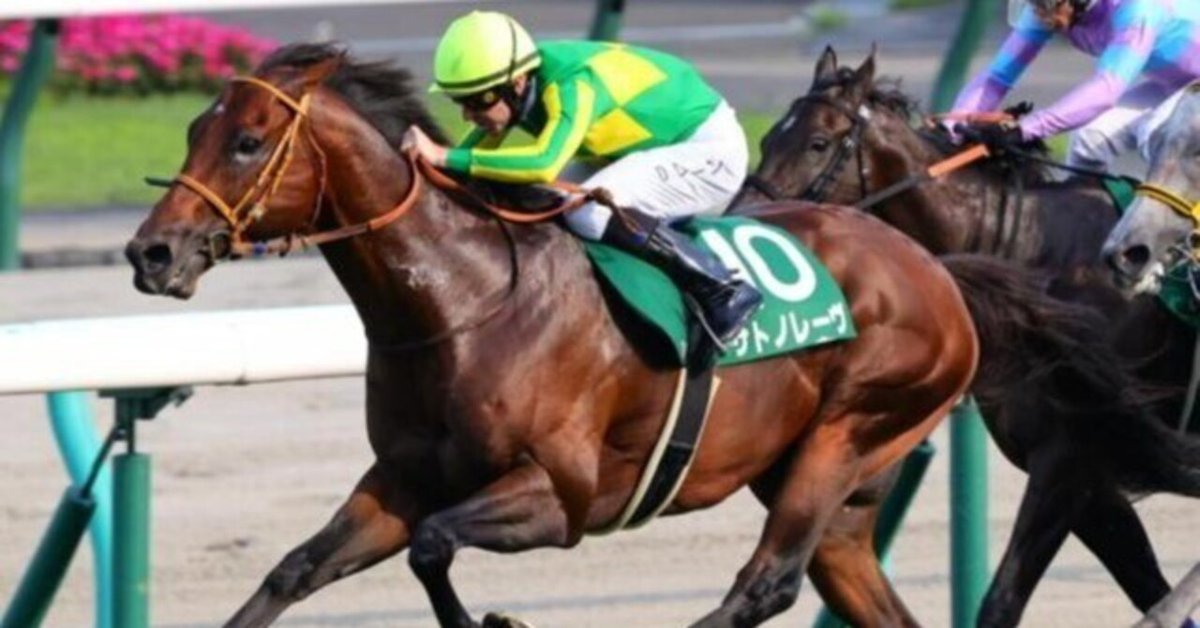 データ編】スプリンターズS2025、数字が示す勝利の法則とは