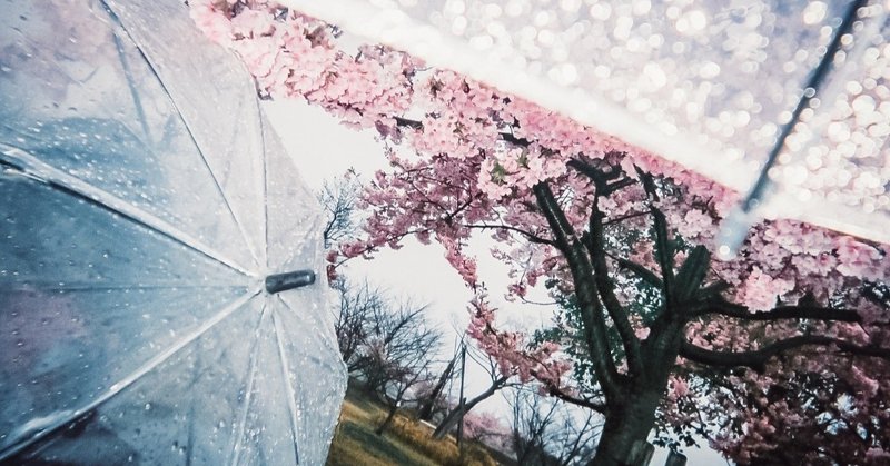 花冷えの週末 桜雨を楽しむ 中目黒土産店 Note 花冷えの週末 桜雨を楽しむ 中目黒土産店 Note