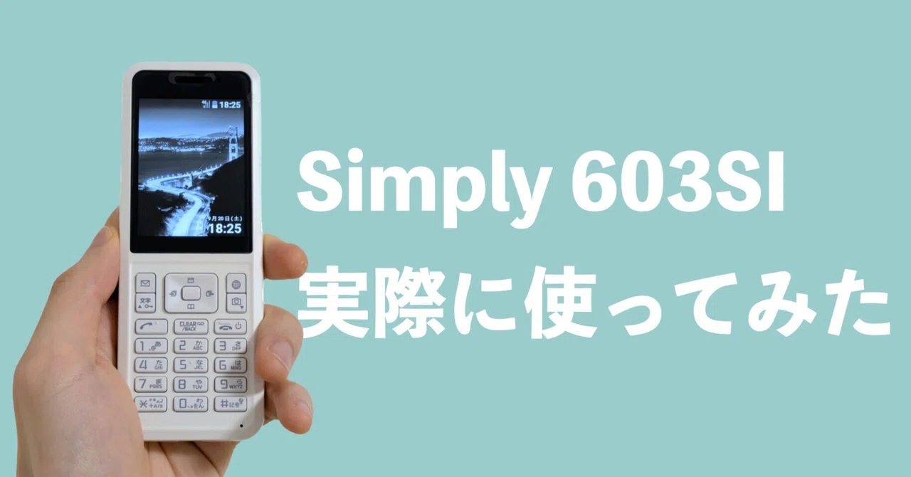 ガラケー携帯電話 ダムフォン】令和にガラケー！？脱スマホ依存に最強の一台かも Simply