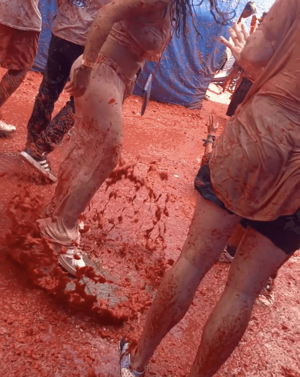 ★トマト祭★ LIVE】スペインの奇祭「トマト祭り」約100トンのトマト投げ合い赤一色