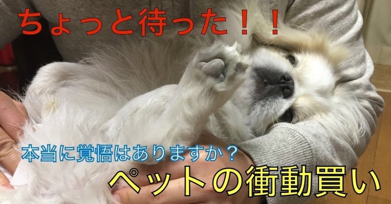 犬を飼う覚悟 の新着タグ記事一覧 Note つくる つながる とどける