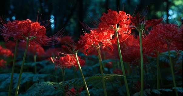 あっせんなよ トランキーロ！あっせんなよ｜yo-da