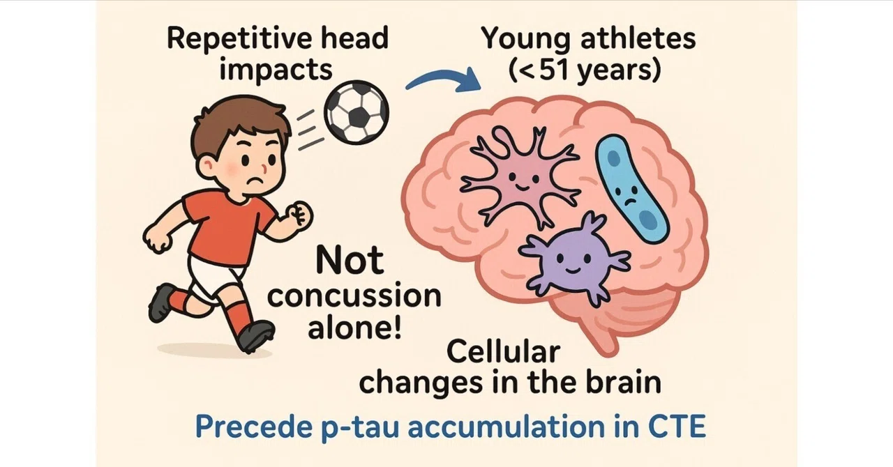Repetitive Head Impacts (RHI) in sports such as football; young ...