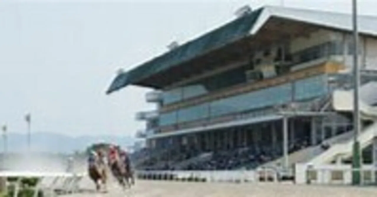 水沢 競馬