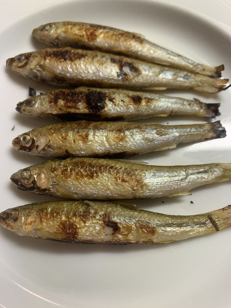 琵琶湖の魚たちと ３ ホンモロコ Terry Tsukioka Note