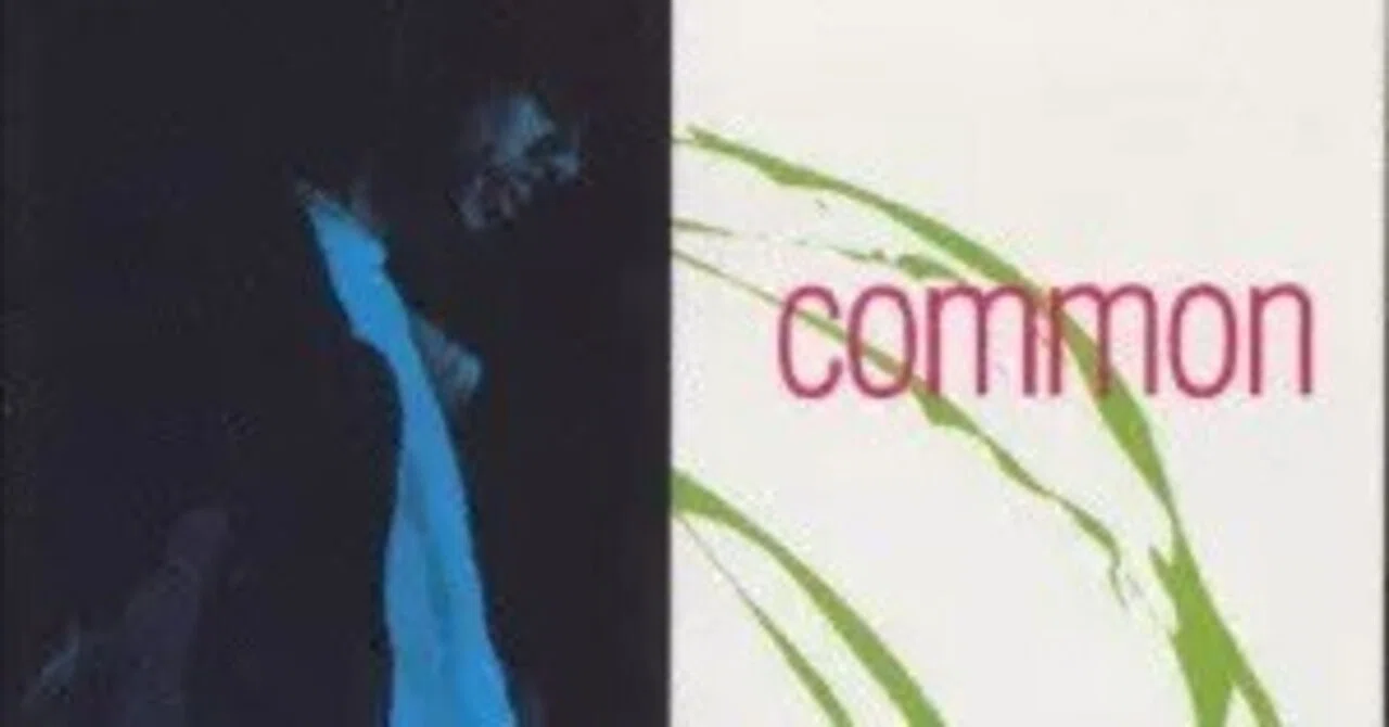 1 “COMMON SENSE”名義での最終章 — COMMON SENSE - RESURRECTION