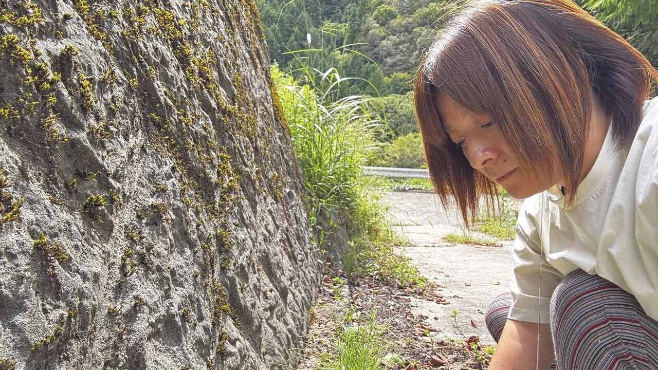 コンクリートの隙間から生えた雑草に勝つ方法！｜あや|山の中で植物と