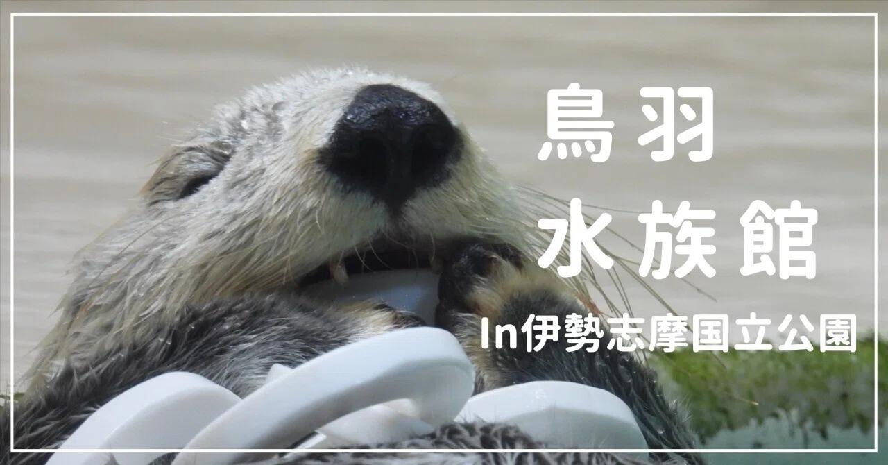 ラッコを見に鳥羽へいってきました｜himekuri365