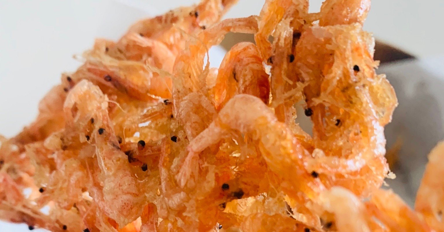 琵琶湖の魚たちと 6 スジエビ Terry Tsukioka Note 琵琶湖の魚たちと 6 スジエビ Terry Tsukioka Note