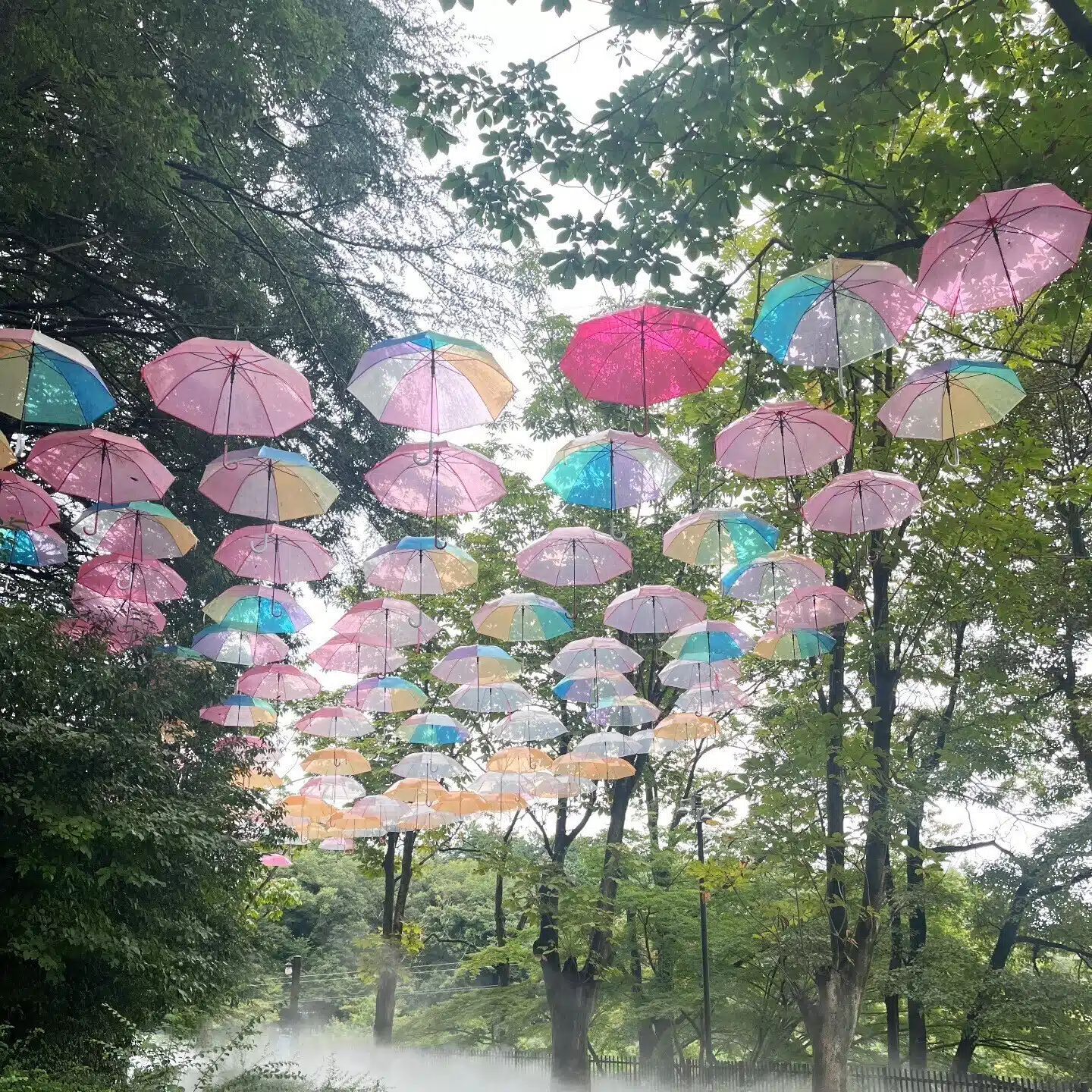 アラフォーささめの婚活日記