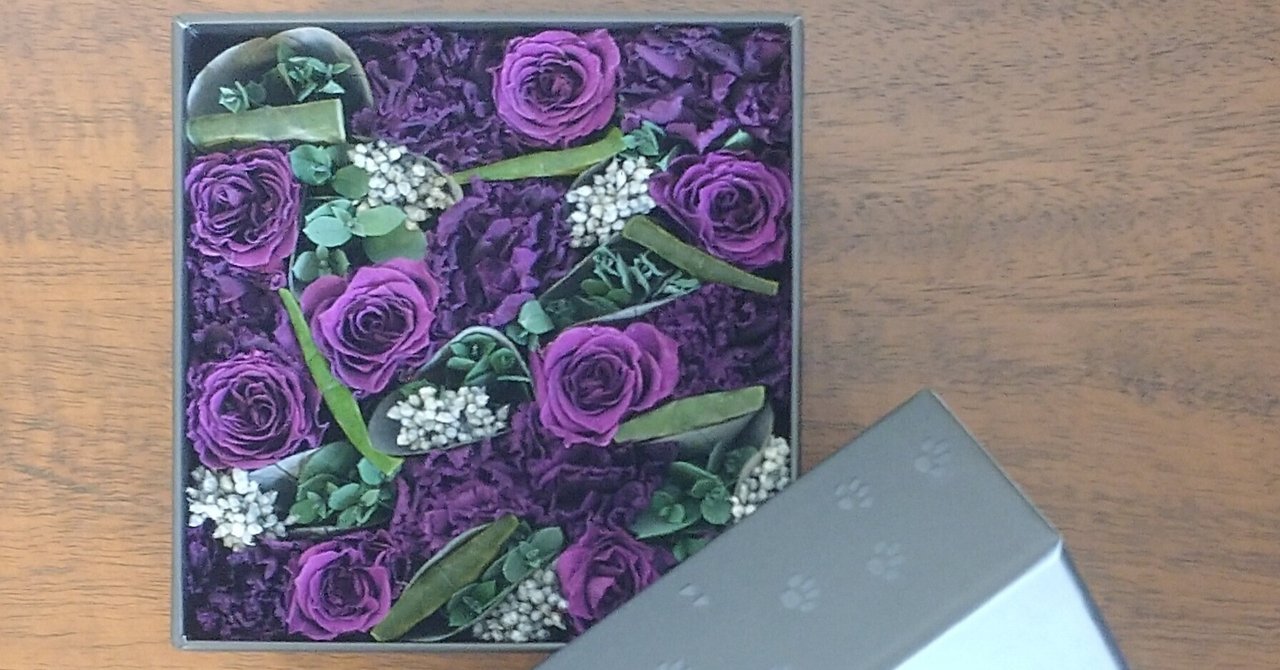 スヌーピー×ニコライバーグマン｜🦩