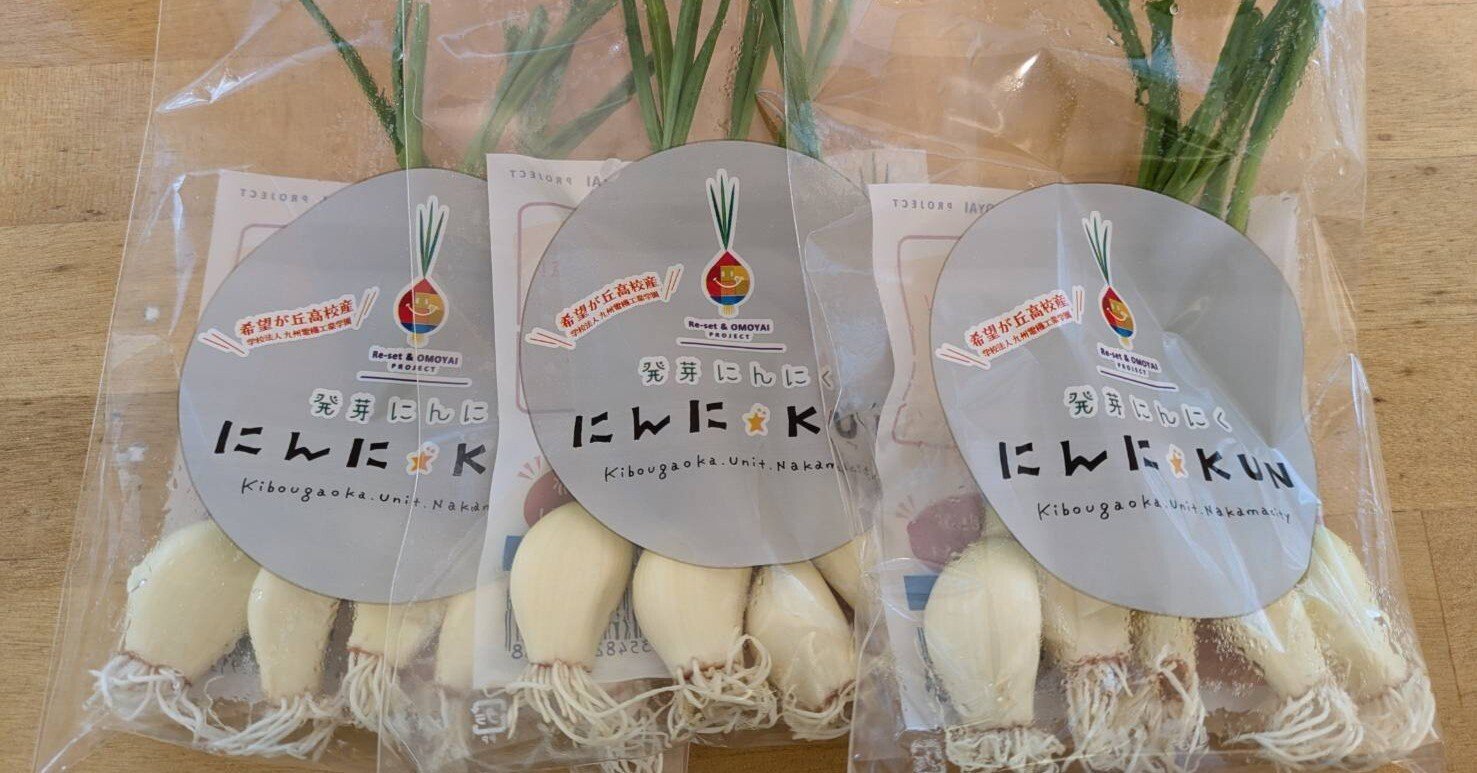 にんに☆KUN通信vol.1｜Credoa