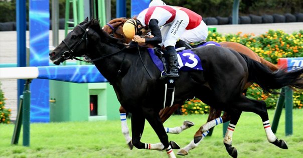 スプリンターズS 2025 気になる馬達｜コボリノコフ