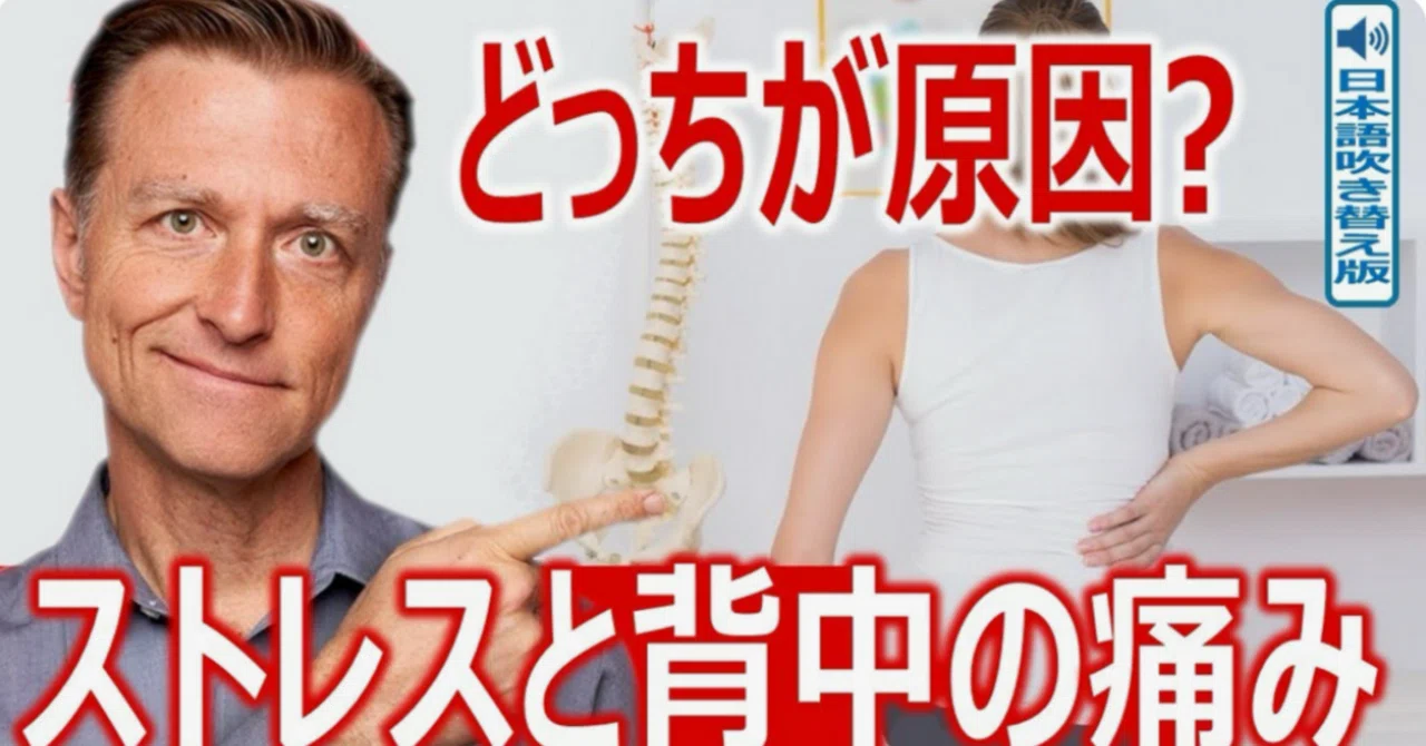最新｜ストレスと背中の痛み― どっちが原因？|ドクター・バーグ