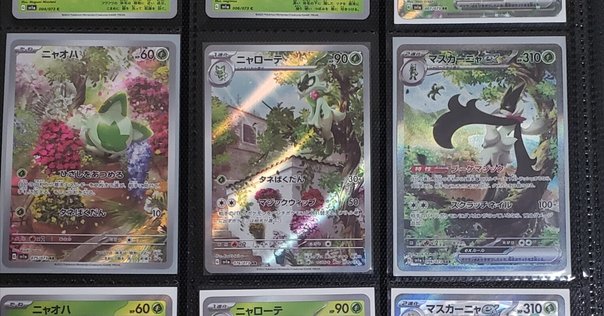 初心者向け】「CryptoNinja Partners」 の購入方法を解説 #CNP