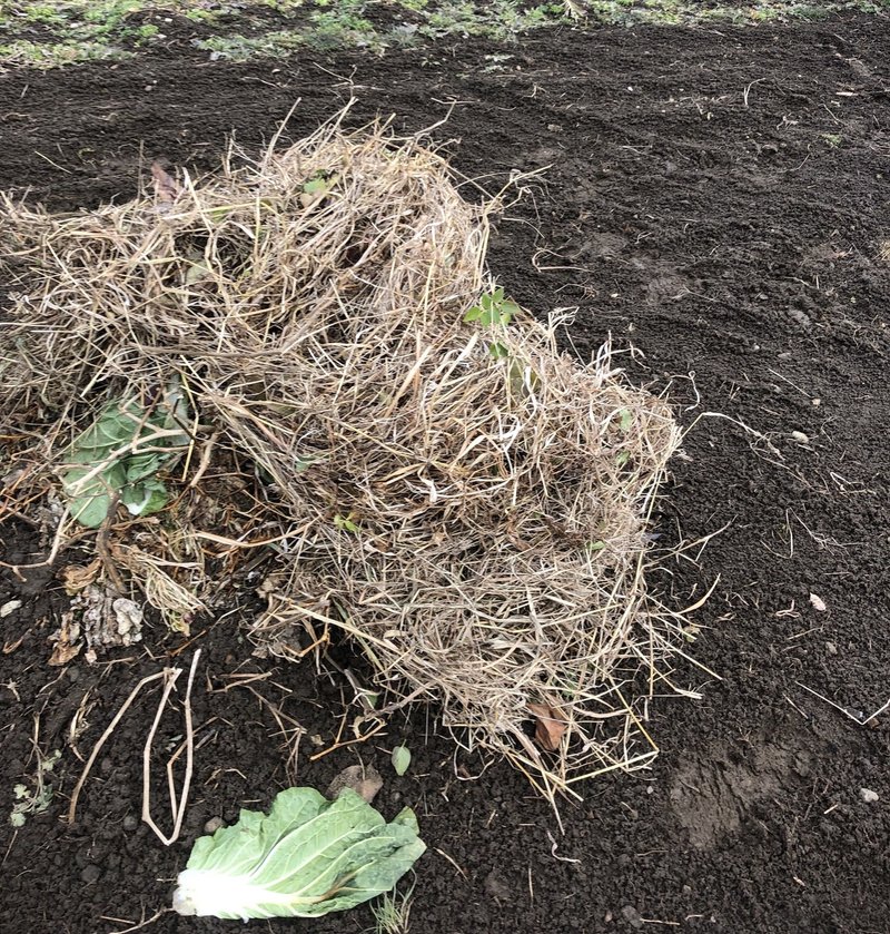 草 米ぬか 土 時間 土土土 Muna Farm 無農薬自給自足 Note