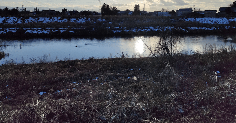 ** 日記：メディアのこと（4,500字）