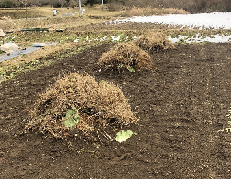 草 米ぬか 土 時間 土土土 Muna Farm 無農薬自給自足 Note