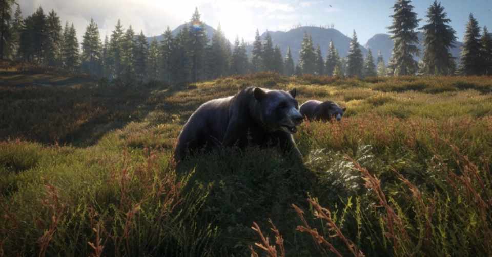 Thehunter Call Of The Wildの魅力 Zzzkeitacion Note