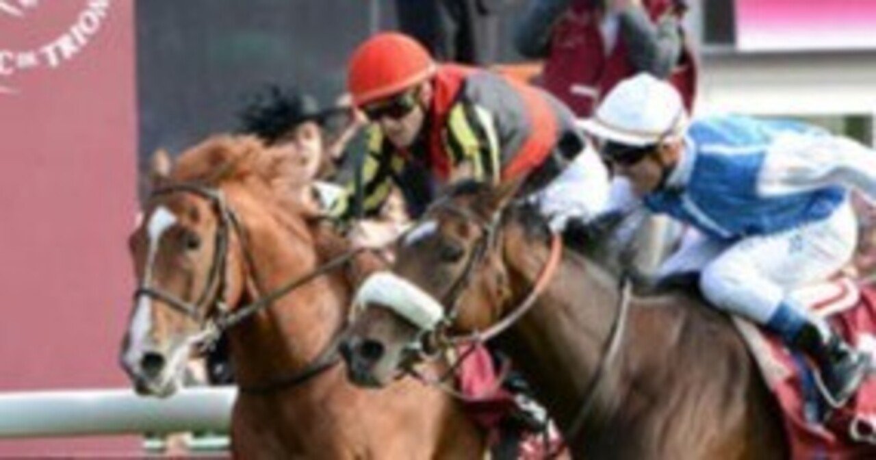 凱旋門賞　2011年　2012年　レーシングプログラム　馬券　オルフェーブル 凱旋門賞 2011年 2012年 レーシングプログラム 馬券 オ