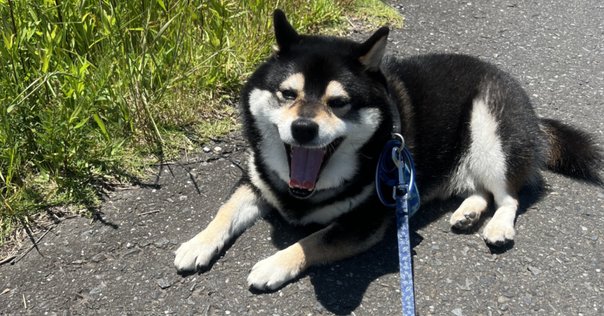 がんばれゴエモン　山藤ひろみ フタコ on X: 