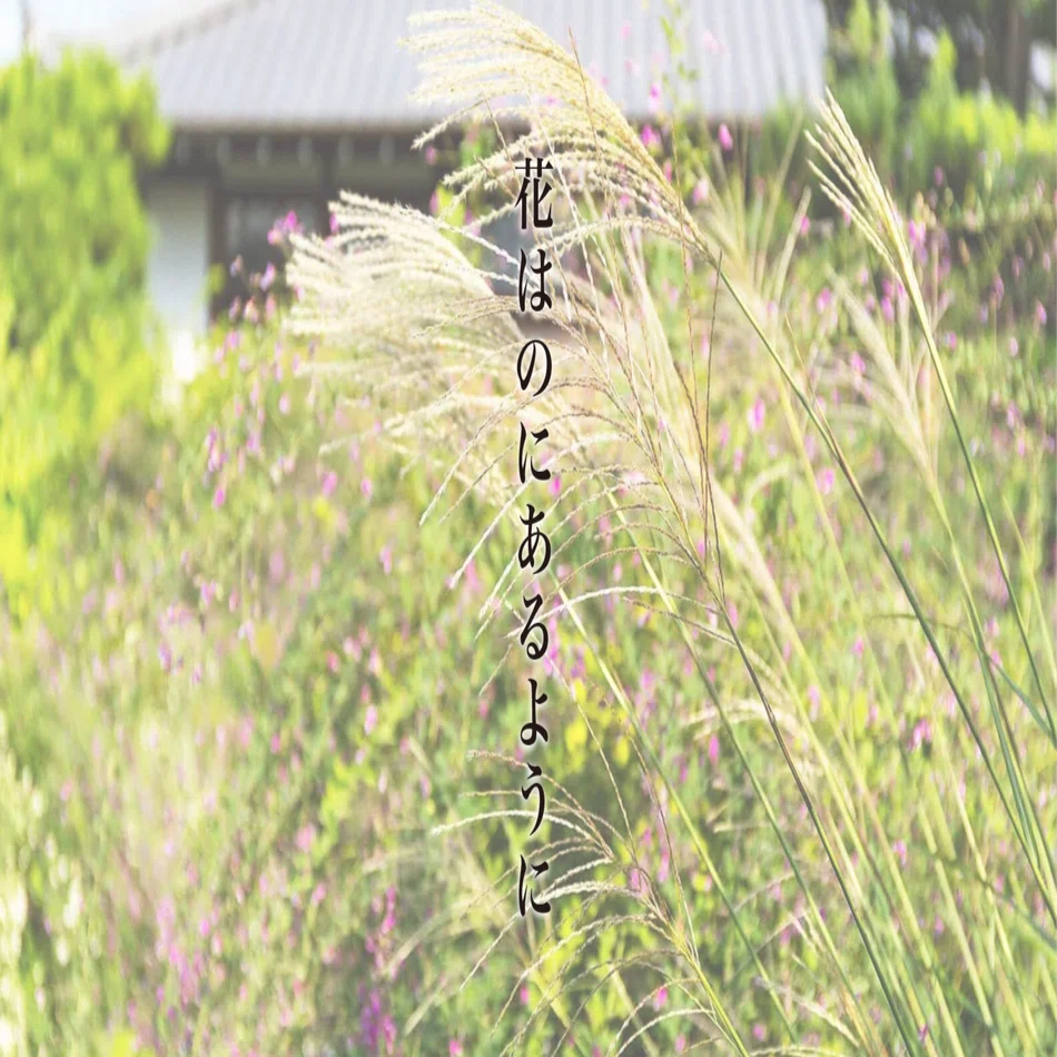 花は野にありて 花は野にあるように」〜千利休に学ぶ子ども観と芸術観（造形観）｜平井