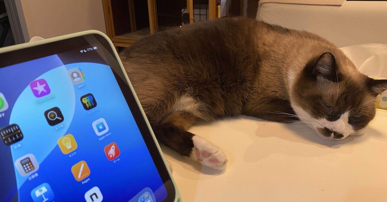 iPad mini 第5世代 64GB バッテリー最大容量確認不可 iPadのバッテリー最大容量を確認する確実で簡単な方法｜おりす