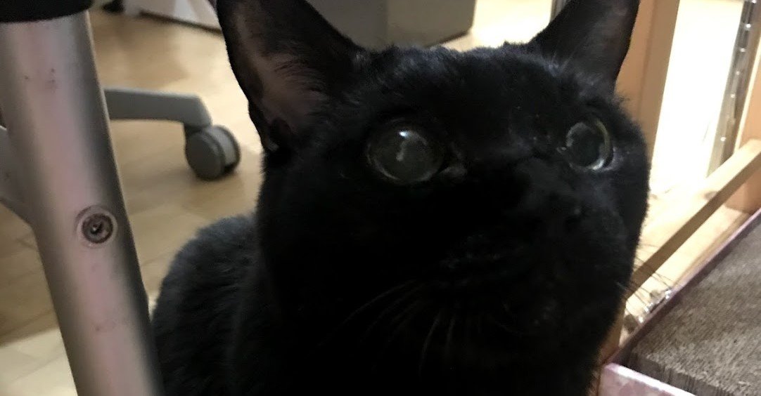 集中が途切れがちなときは 肉体を味方につけるために机に突っ伏す F太 Note