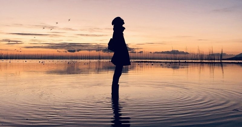 引き寄せの法則についての答えは決まっている そこへのたどり着き方を学ぶだけ はるかぜ Note