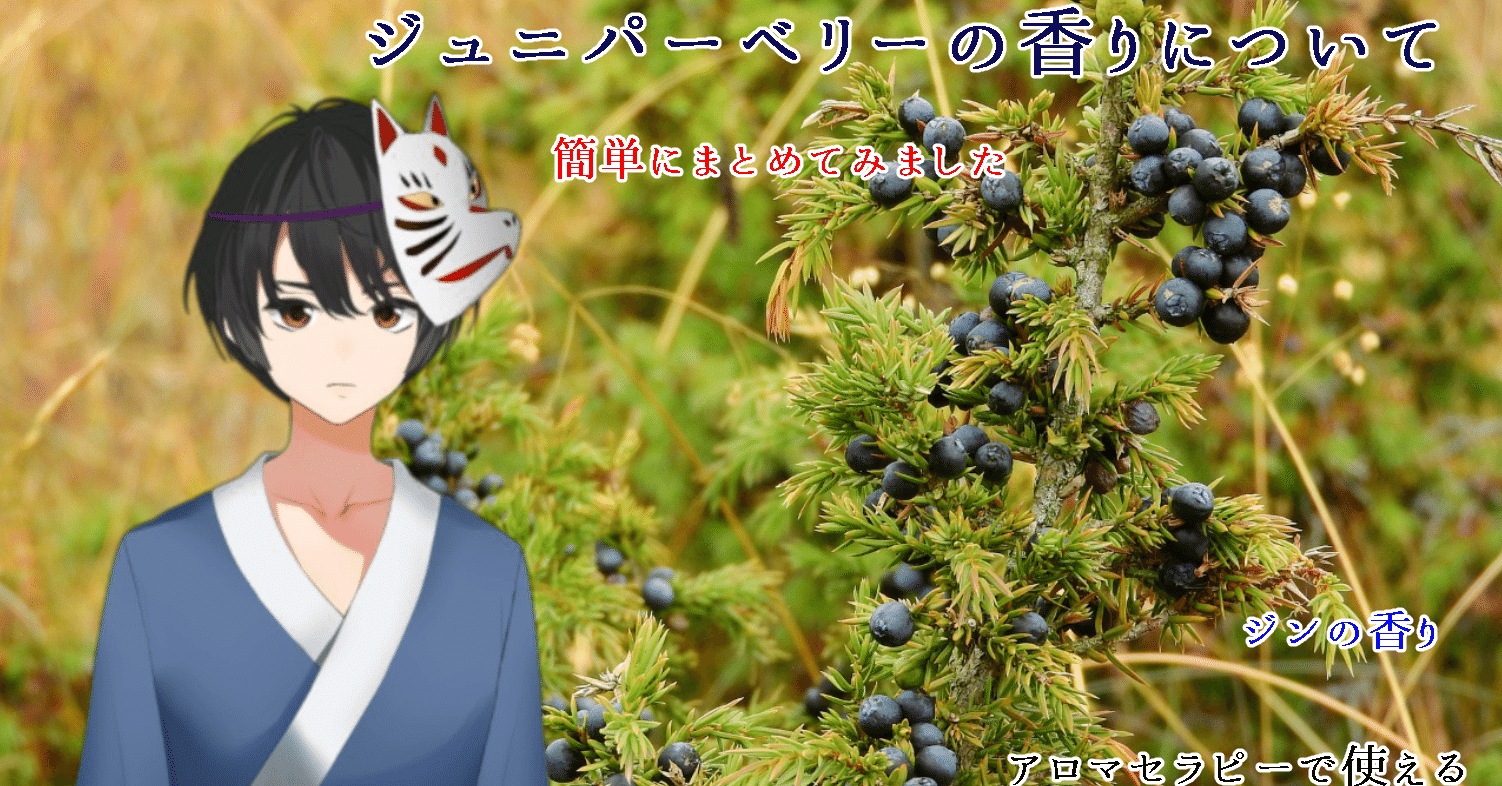 ジュニパーベリーの香りについて Shinichi Sakura Note